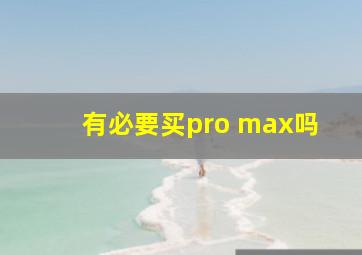 有必要买pro max吗